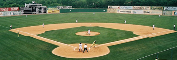 Overview of the field in 2007. Photograph by Joshua Self