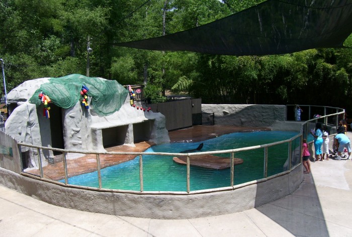 File:Sea lion pool 2007.jpg