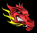 Warrior Wildfire logo.jpg