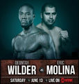 WIlder vs Molina