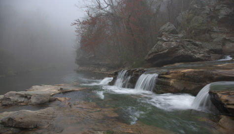 Turkey Creek Nature Preserve - Bhamwiki